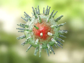 Scientists find a missing link between Epstein-Barr virus and multiple sclerosis
