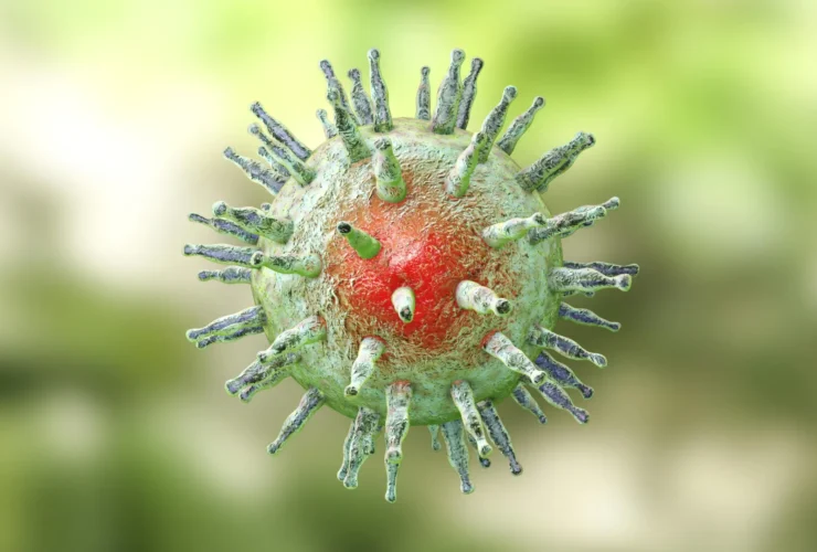 Scientists find a missing link between Epstein-Barr virus and multiple sclerosis