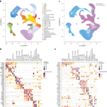 Single-cell multiomic atlas of healthy pediatric bone marrow reveals age-dependent differences in lineage differentiation driven by stromal signaling