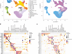 Single-cell multiomic atlas of healthy pediatric bone marrow reveals age-dependent differences in lineage differentiation driven by stromal signaling