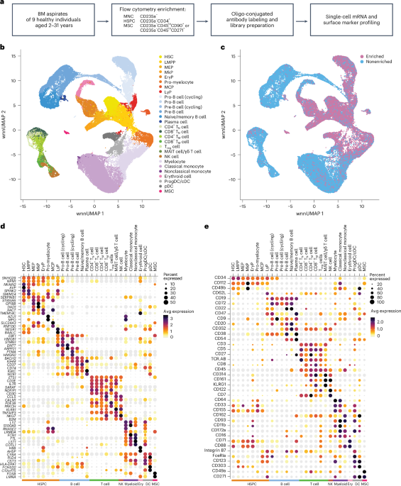Single-cell multiomic atlas of healthy pediatric bone marrow reveals age-dependent differences in lineage differentiation driven by stromal signaling