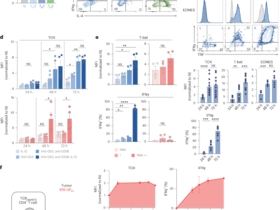 TOX drives CD4+ TH1 effector function, antitumor immunity and autoimmune pathology