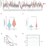 TTF2 as a potential biomarker and immunotherapy target in glioma diagnosis and prognosis
