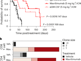 Targeting skull bone marrow hematopoiesis for the treatment of childhood brain tumors