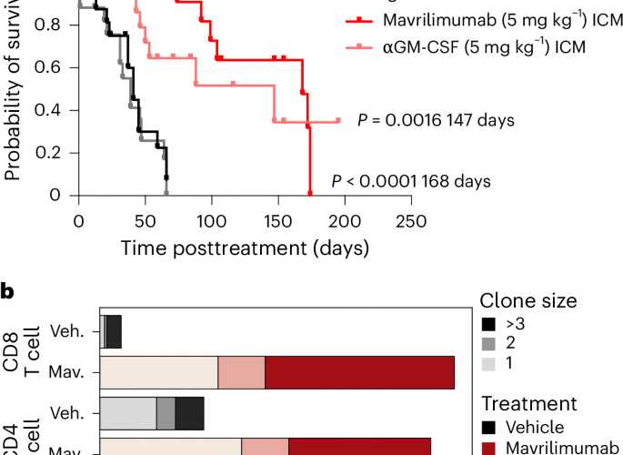Targeting skull bone marrow hematopoiesis for the treatment of childhood brain tumors