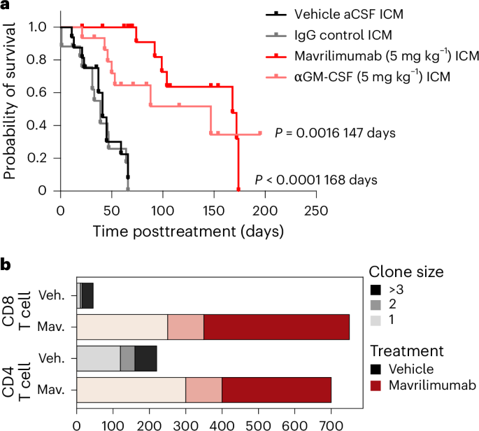 Targeting skull bone marrow hematopoiesis for the treatment of childhood brain tumors
