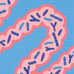 The #1 Habit to Start for Better Gut Health