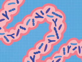 The #1 Habit to Start for Better Gut Health