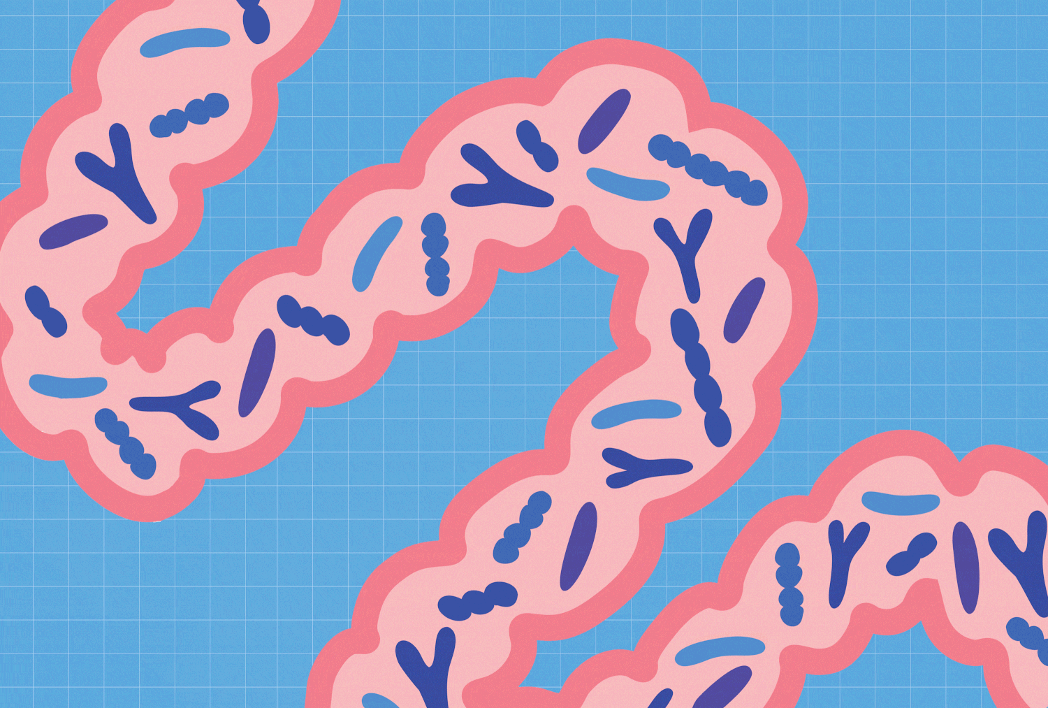 The #1 Habit to Start for Better Gut Health