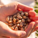 The Best Time to Eat Nuts for Energy and Heart Health