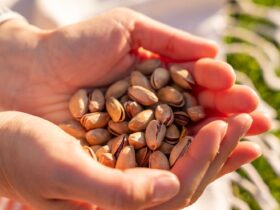 The Best Time to Eat Nuts for Energy and Heart Health