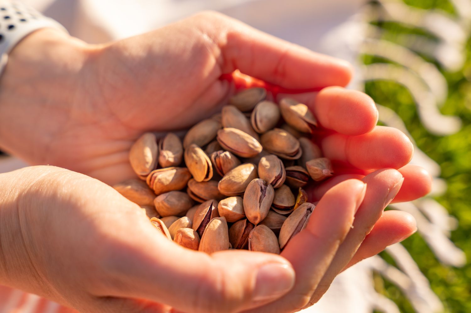 The Best Time to Eat Nuts for Energy and Heart Health