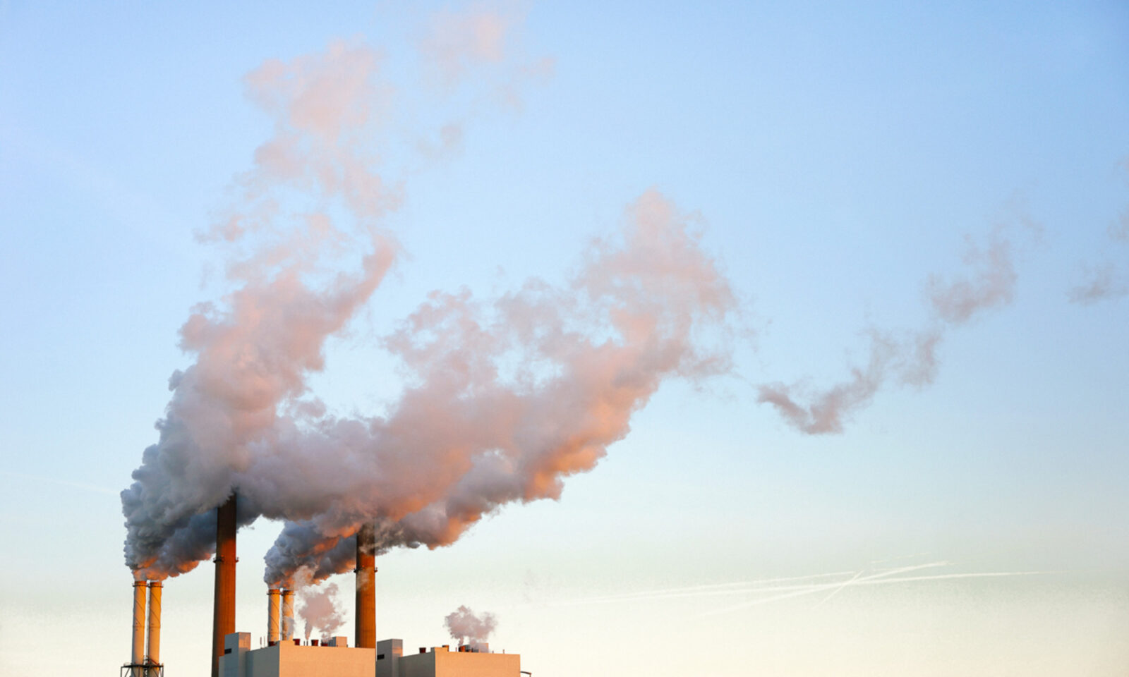 The Surprising Link Between Air Quality & Brain Health