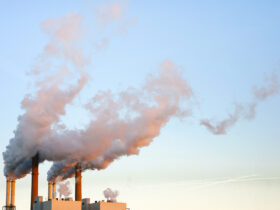 The Surprising Link Between Air Quality & Brain Health