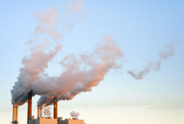 The Surprising Link Between Air Quality & Brain Health