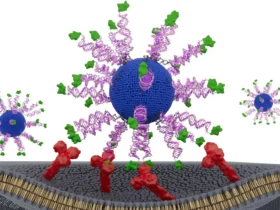 This reengineered HPV vaccine trains T cells to hunt down cancer