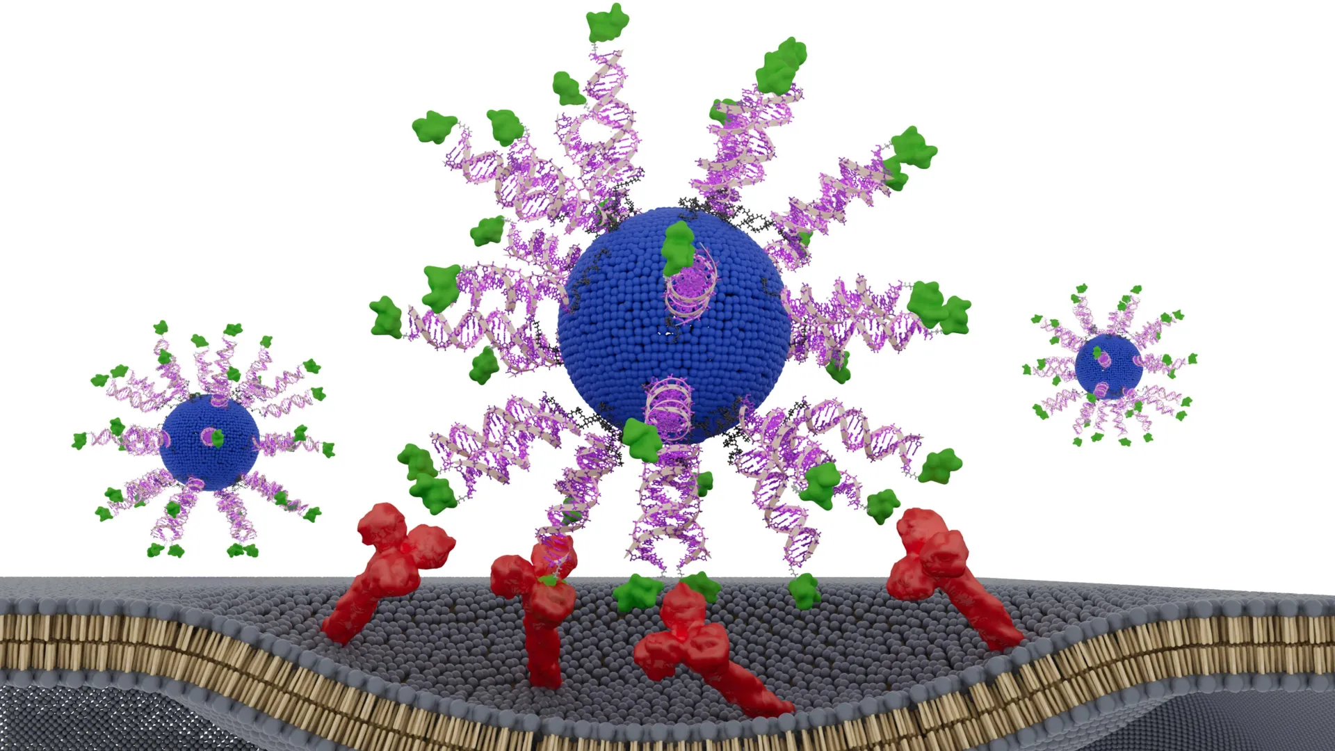 This reengineered HPV vaccine trains T cells to hunt down cancer