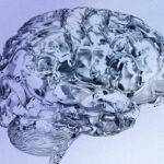 To Mind Brain Health As You Age, Study Suggests Aerobic Exercise