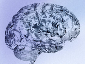 To Mind Brain Health As You Age, Study Suggests Aerobic Exercise