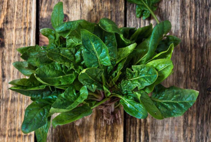 Uses, Benefits, Side Effects, Dosage, Precautions