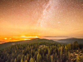 What All 12 Signs Need To Know For The New Moon Solar Eclipse