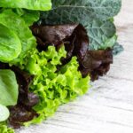 What Happens When You Add Bitter Greens to Your Diet