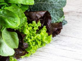 What Happens When You Add Bitter Greens to Your Diet