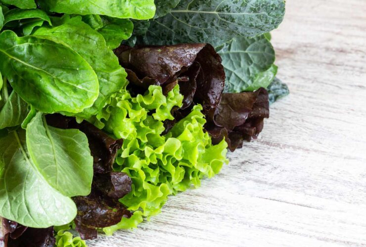 What Happens When You Add Bitter Greens to Your Diet