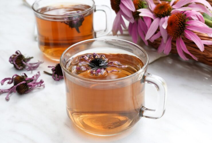 What Happens to Your Blood Sugar When You Drink Echinacea Tea?
