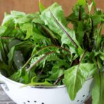 What Happens to Your Body When You Eat Dandelion Greens