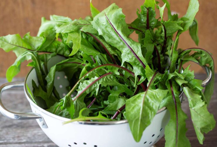 What Happens to Your Body When You Eat Dandelion Greens