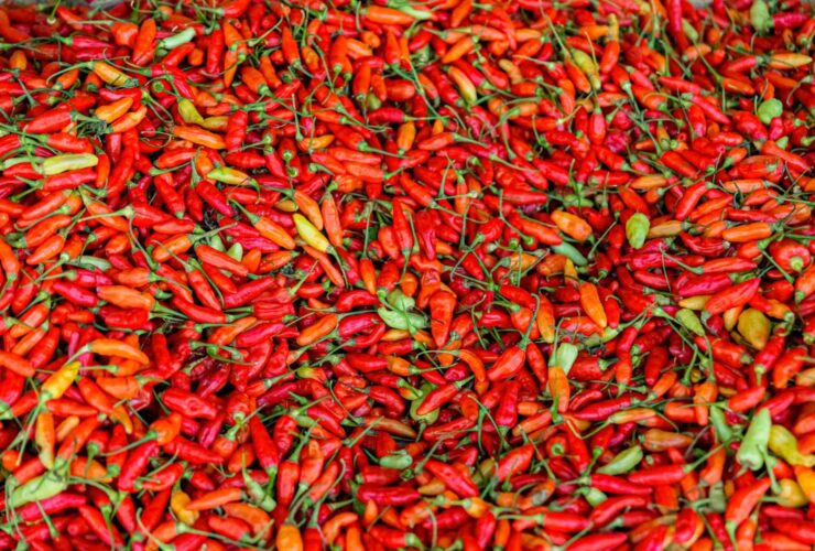 What Happens to Your Gut and Digestion When You Eat Spicy Foods Regularly