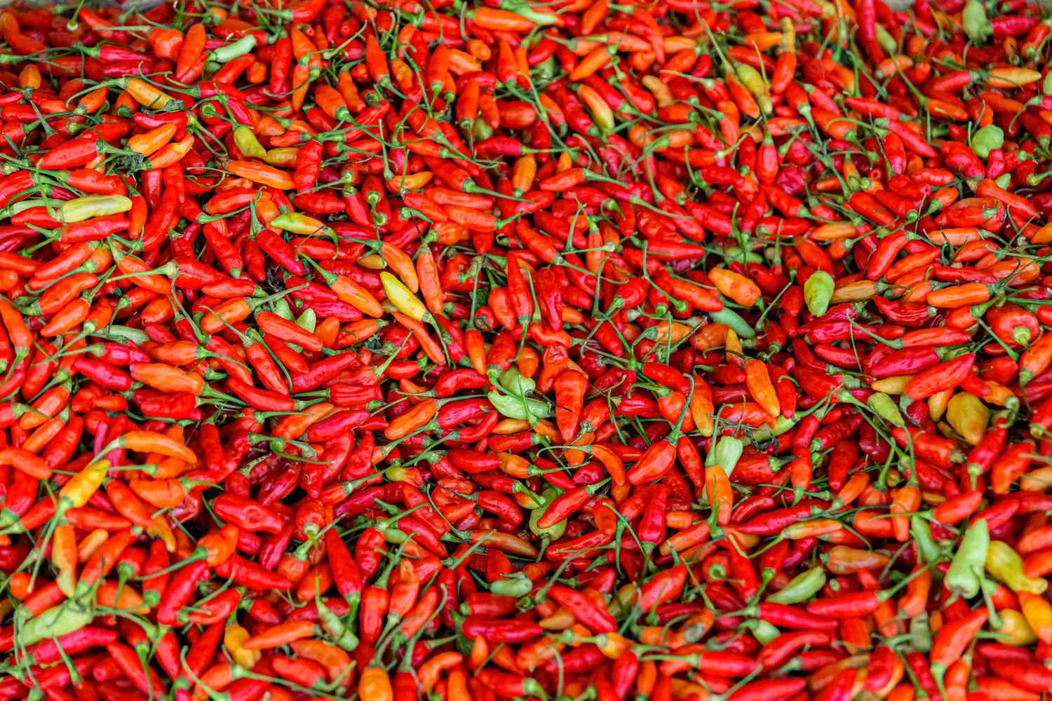 What Happens to Your Gut and Digestion When You Eat Spicy Foods Regularly