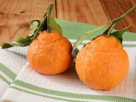 What Happens to Your Immune System When You Eat Sumo Citrus Oranges?
