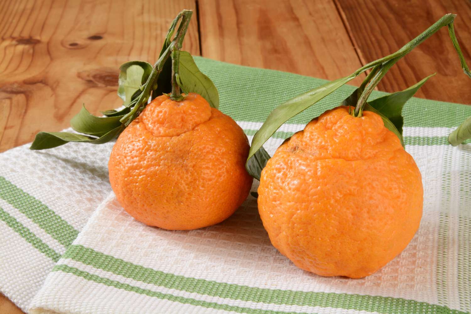 What Happens to Your Immune System When You Eat Sumo Citrus Oranges?