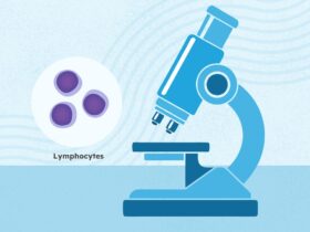 What Is Chronic Lymphocytic Leukemia (CLL)?