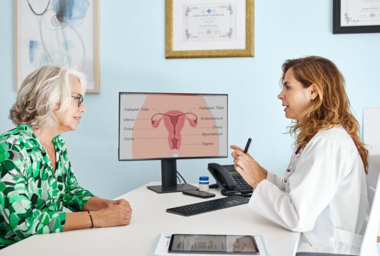 What Is Genitourinary Syndrome of Menopause (GSM)?