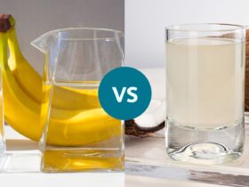 Which One Is Better for Hydration?