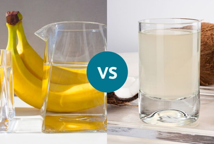 Which One Is Better for Hydration?
