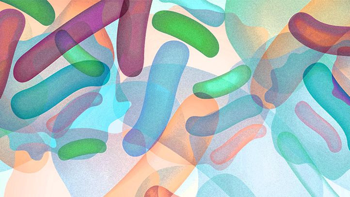 Who Should Take Probiotics: 5 Potential Benefits