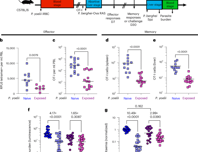 mRNA vaccination overcomes haemozoin-mediated impairment of whole-parasite malaria vaccines in mice