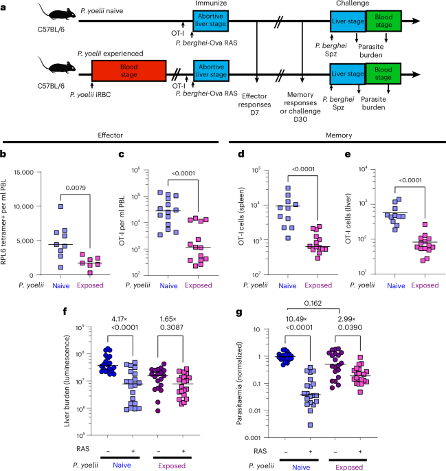 mRNA vaccination overcomes haemozoin-mediated impairment of whole-parasite malaria vaccines in mice