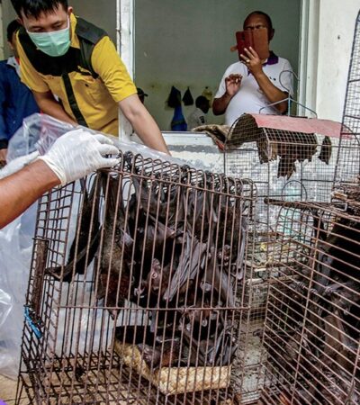 what we do and don’t know