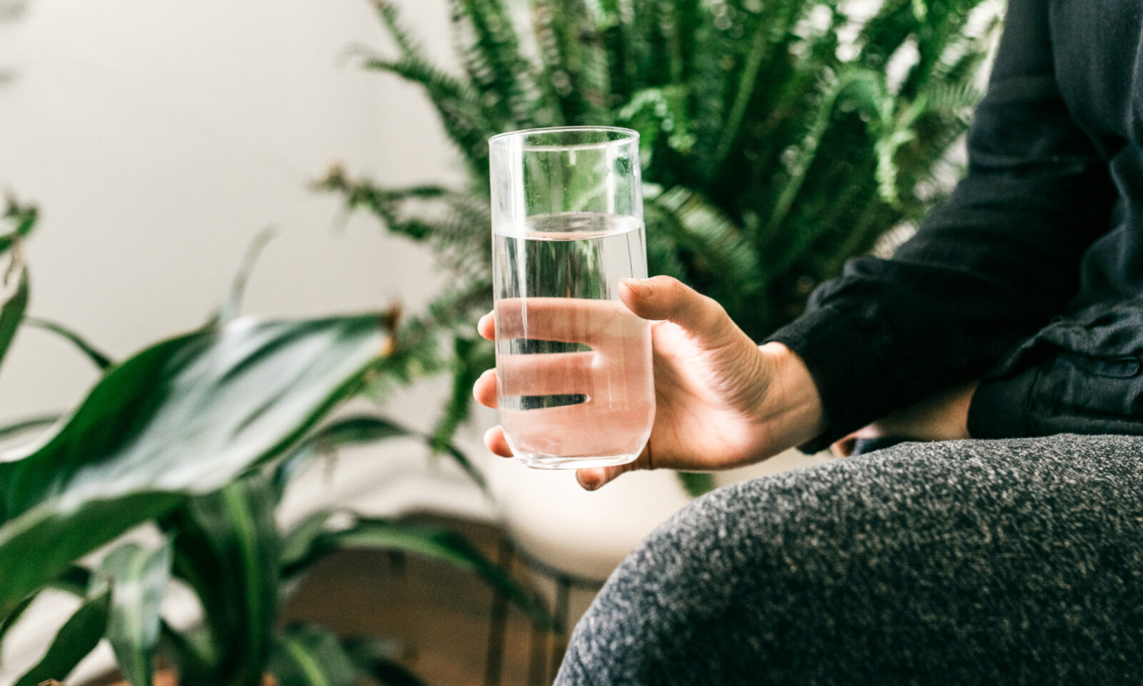 3 Types Of People Who Would Benefit From A Colostrum Supplement