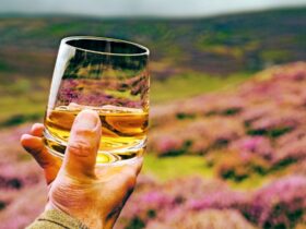 8 foods to try in the Scottish Highlands