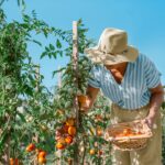 Keeping Cool: A Guide to Managing Early-Stage Alzheimer’s in Heat and Humidity