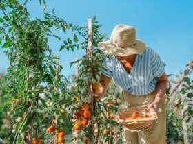 Keeping Cool: A Guide to Managing Early-Stage Alzheimer’s in Heat and Humidity