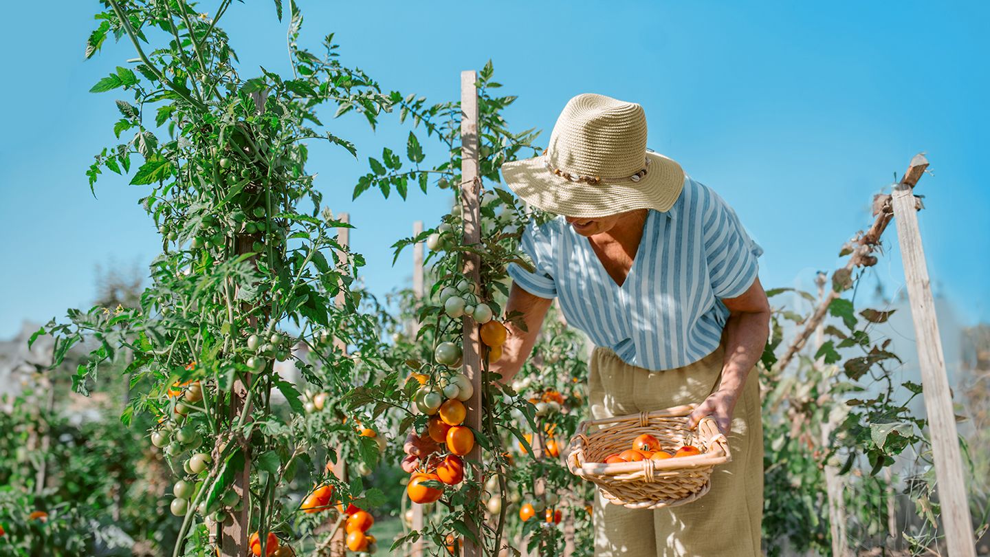 Keeping Cool: A Guide to Managing Early-Stage Alzheimer’s in Heat and Humidity