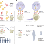 A genetic set-point for natural killer cells