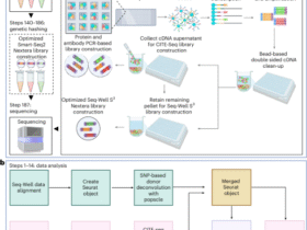 A scalable, low-cost, sample hashing workflow for multiomic single-cell analysis using the Seq-Well S3 platform